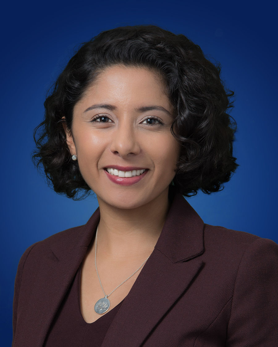 Judge Lina Hidalgo